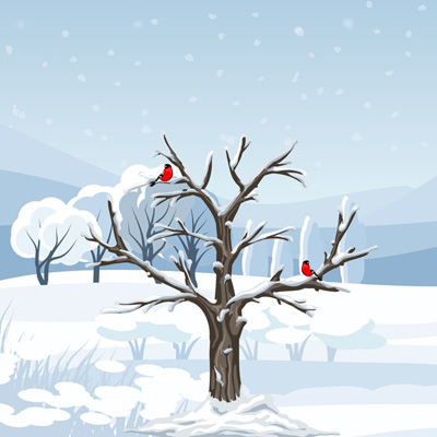 Winter Themed Coloring Books